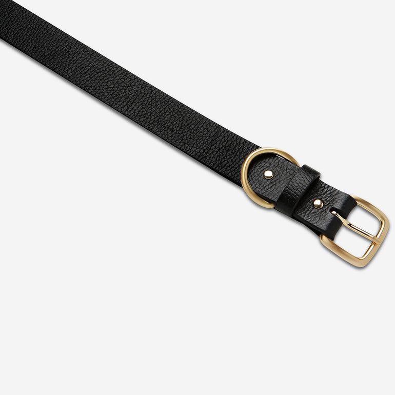 Status Anxiety Disarm Women's Leather Belt Black/Gold